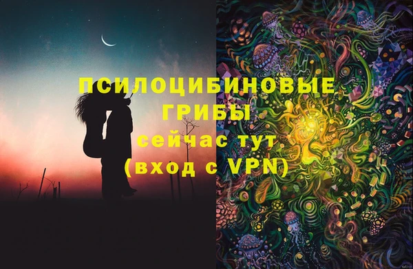 молекула духа Алзамай
