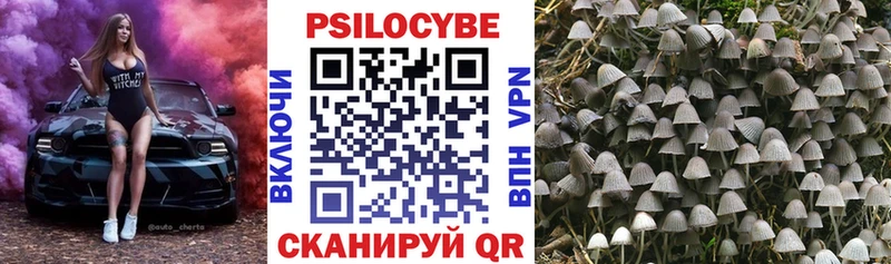 Галлюциногенные грибы Cubensis  Льгов 